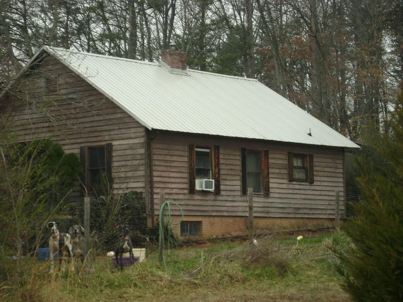 White metal roof on an old wood sided farmhouse, from a Asphalt Shingle Roof Repair job in Santa Clara